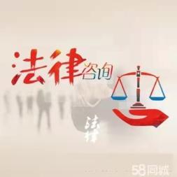 民商事和刑事复杂重大疑难案件付费提供专业的法律咨询